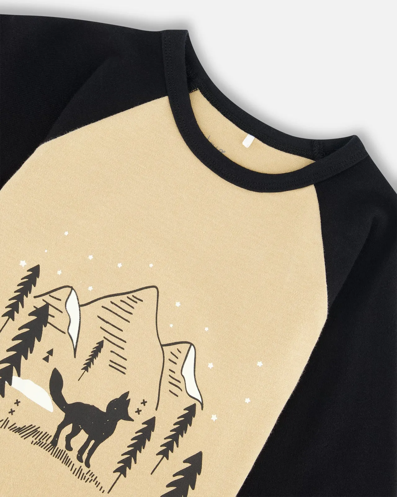 2 Piece Boys Fox Pajamas