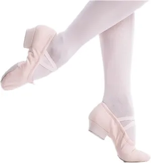 Ballet Shoes Women Ballet Shoes Girls Kids Ballet Dance Shoes Soft Sole Low Heels Jazz Dancing Shoes Pink/Black Women Exercise Shoes Shoe Dance(Nude,Size 36)